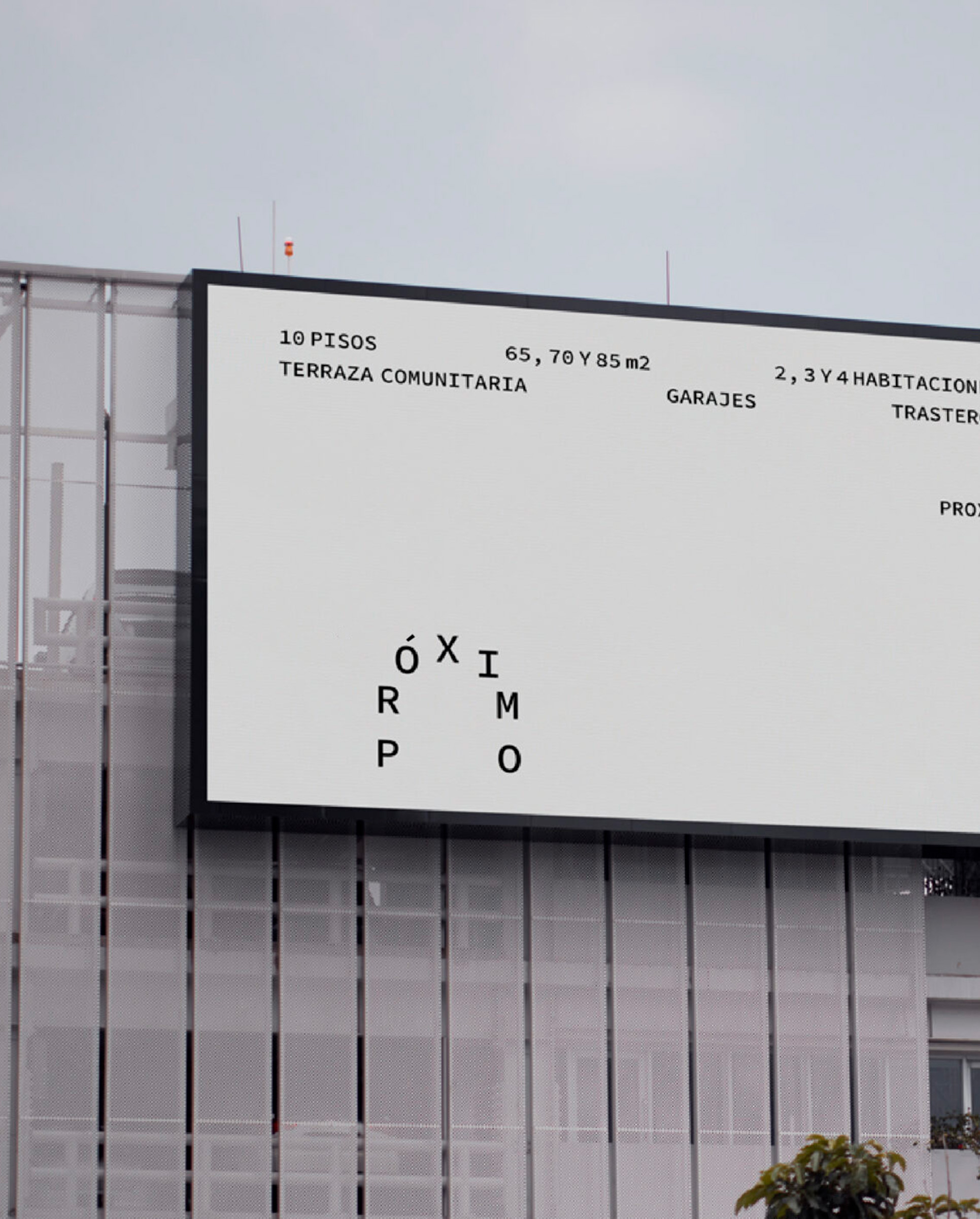 PROXIMO Specimen 6