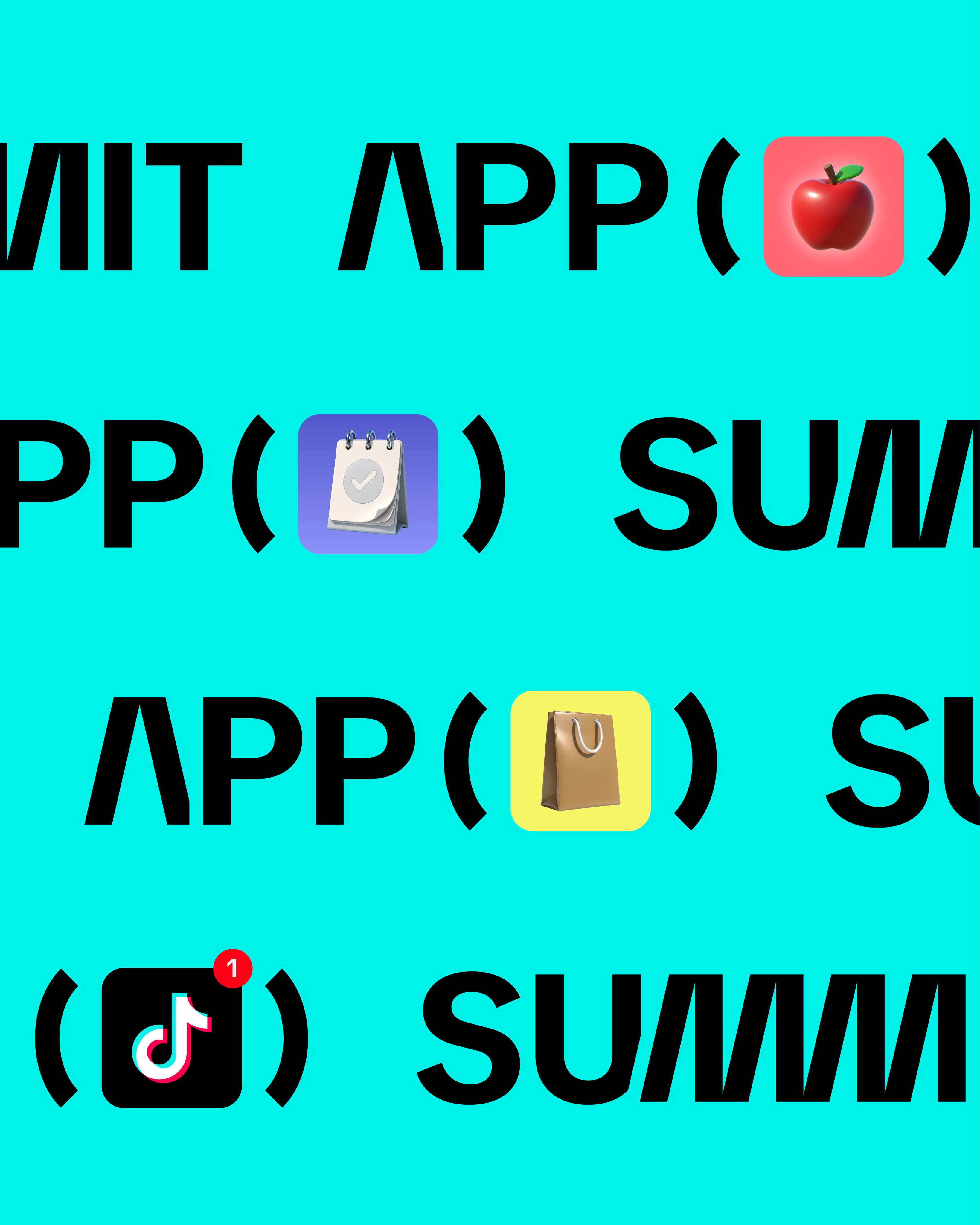 Tiktok for Business App Summit METAP Specimen 4